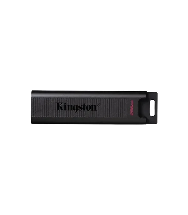 PEN DRIVE 256GB KINGSTON DTMAX USB-C
